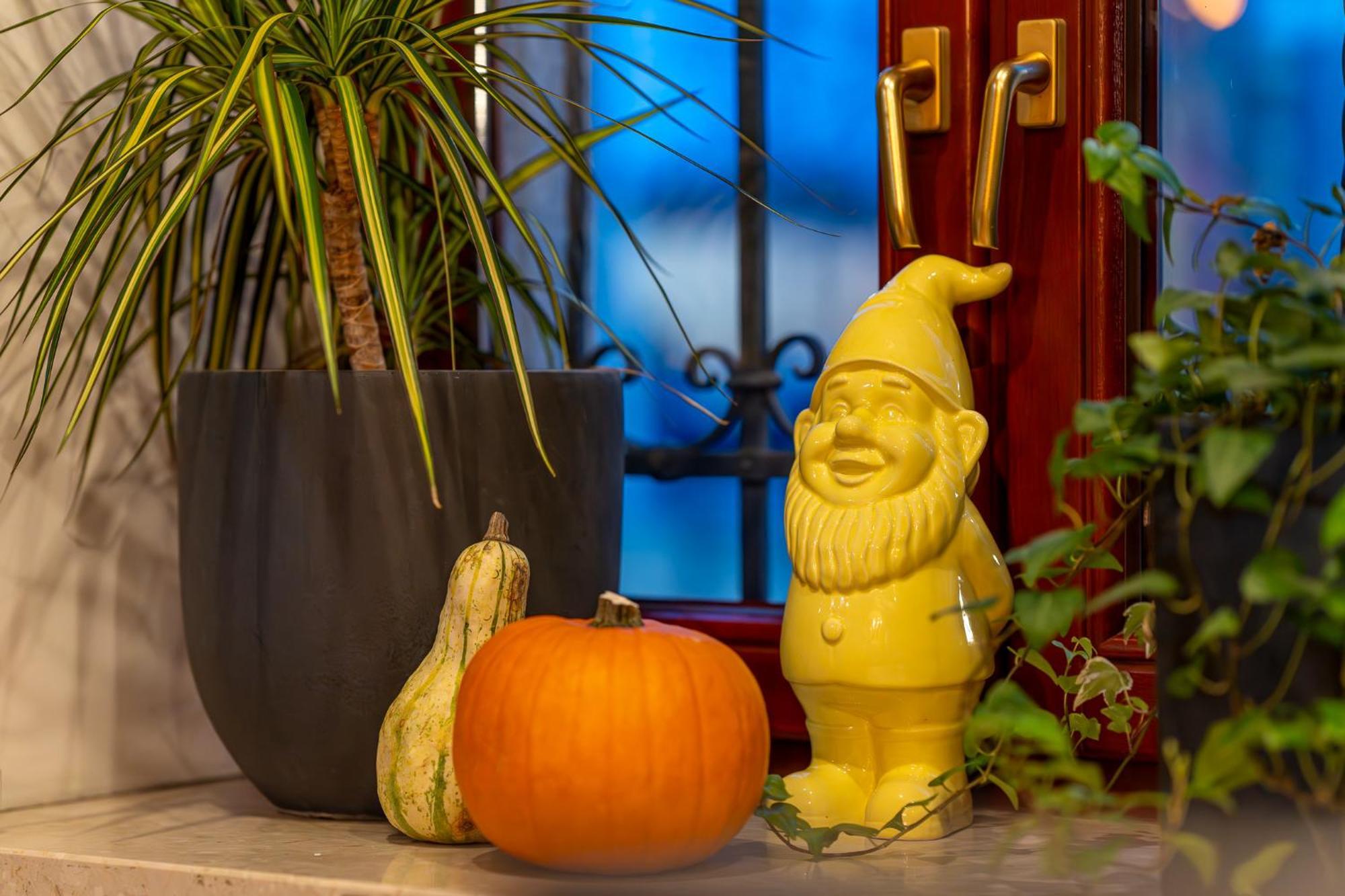 Great Polonia Dwarf Wroclaw Bed & Breakfast ภายนอก รูปภาพ